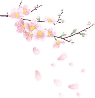酉阳春日限定：桃花源与叠石花谷里的十里桃花
