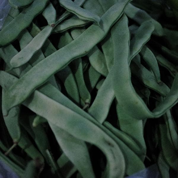 PVC塑料菜板安全吗？这些风险不容忽视