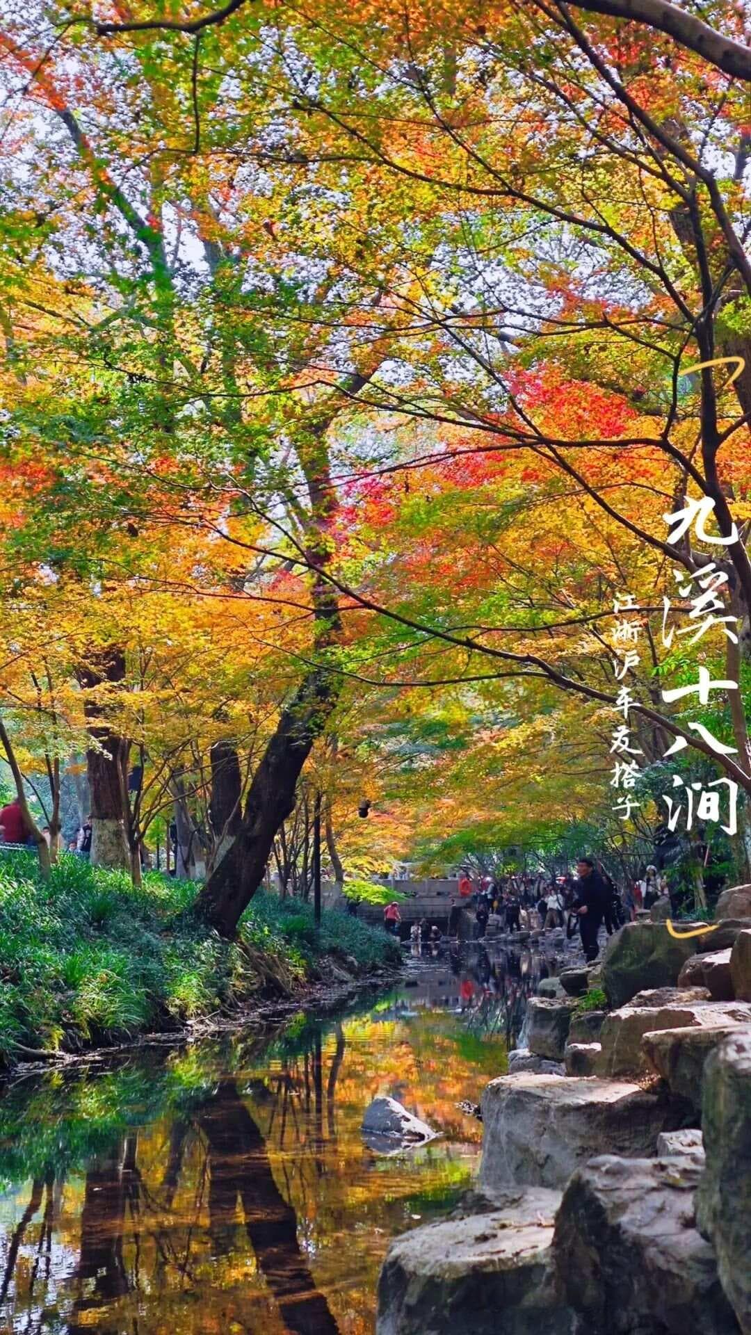 周末可去！江浙沪2小时车程内适合春天去的经典徒步路线全在这了！！