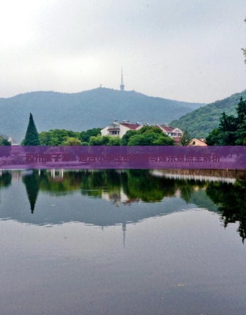 四川亲子游：适合小学生的教育与娱乐景点全解析