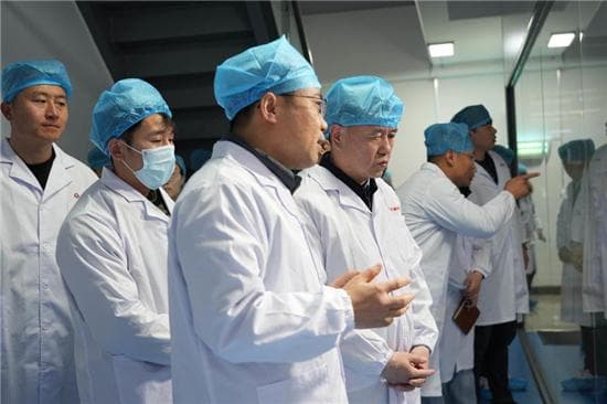 拼出个未来 | 临淄区：淄博工业经济“压舱石”的新答案