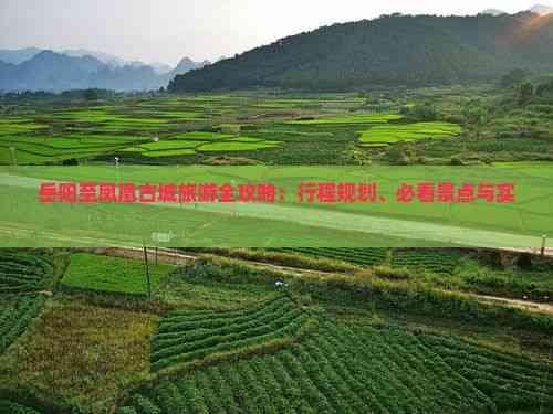 岳阳至凤凰古城旅游全攻略：行程规划、必看景点与实用建议