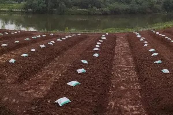 土壤改良全攻略：三种主要土壤类型的改良方法