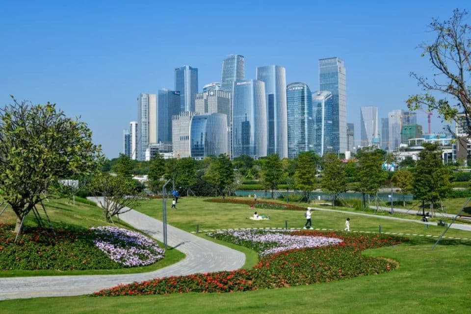晶报特别报道丨10项民生实事落地，深圳的答案有温度！