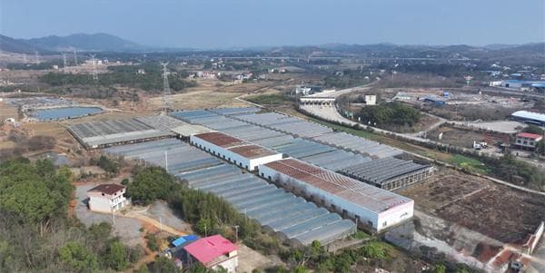 永州冷水滩：智能恒温大棚助力护春耕 水稻秧苗喜住“科技暖房”