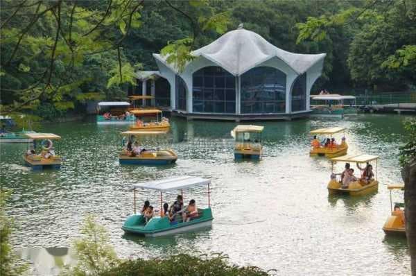 中山紫马岭公园：探秘最美自然景观