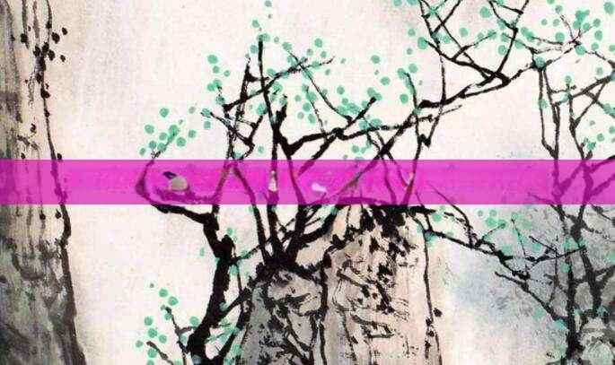 瓷罐，不仅仅是容器，更是文化的传承与创新的载体