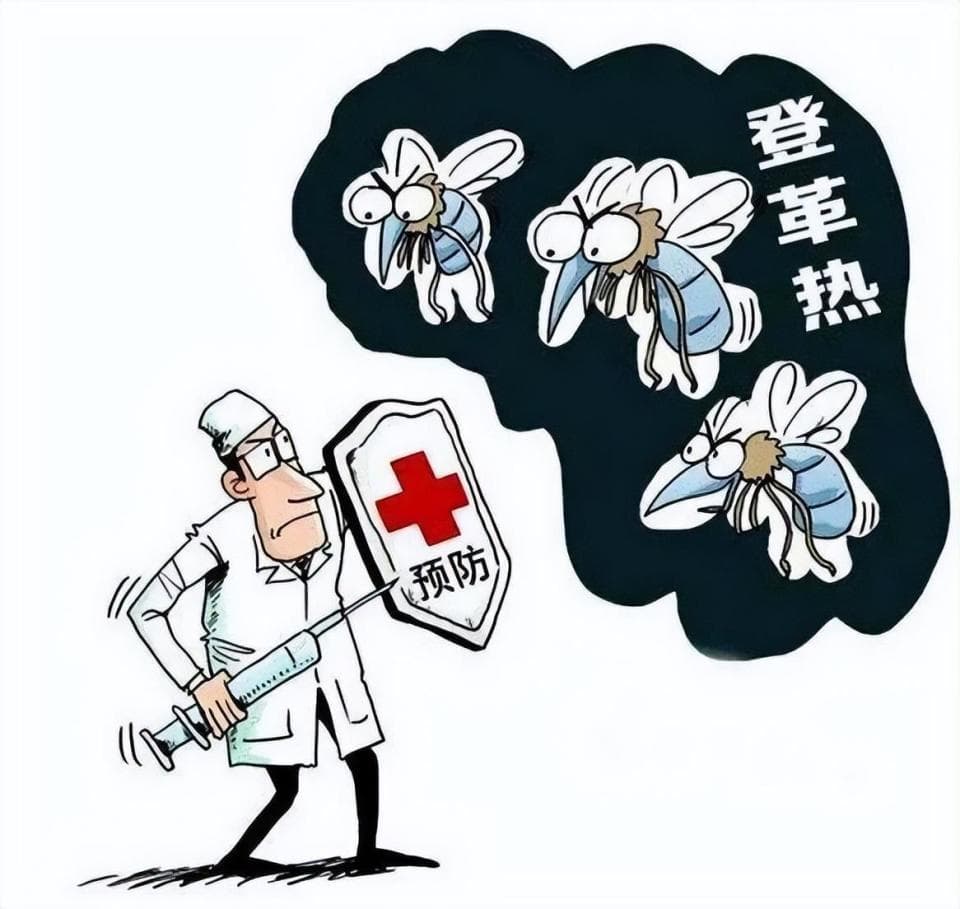 近期，南方多地出现登革热，别紧张！做好预防，出现症状及时就医