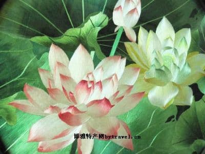 吴中十大特产