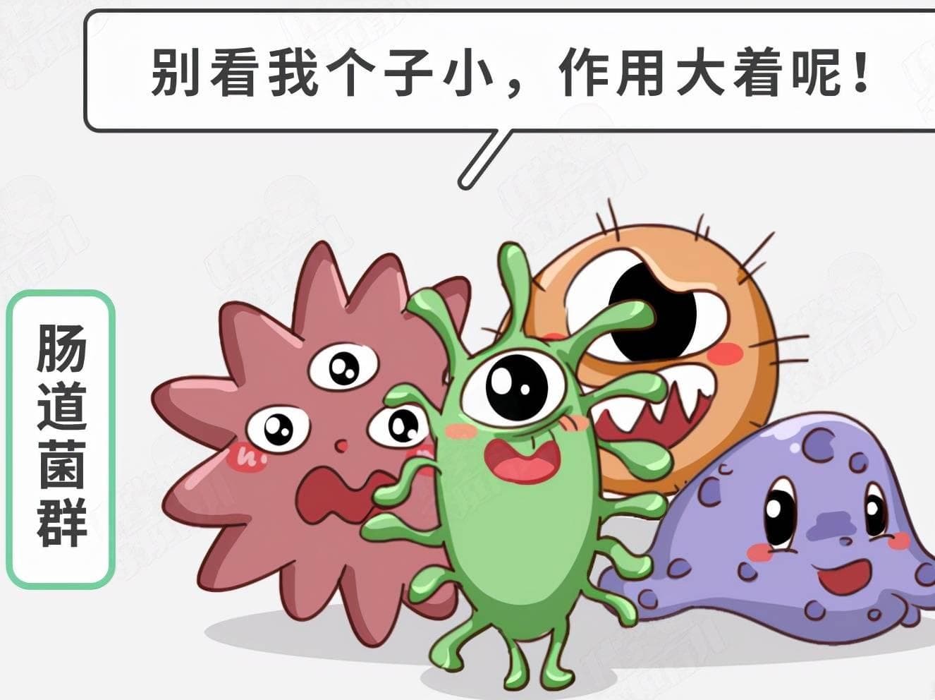 秋冬肠道健康的守护者：双歧杆菌三联活菌使用全攻略