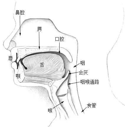 一个睡眠小习惯，可能会损害心脏和血管！快看你有没有