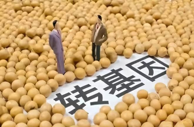 转基因和添加剂既然对人体无害，国外为什么要严厉禁止呢？