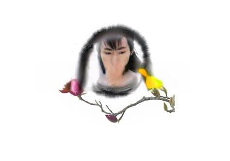 《甘十九妹》男主角尹剑平：一个正直无畏的武林侠士