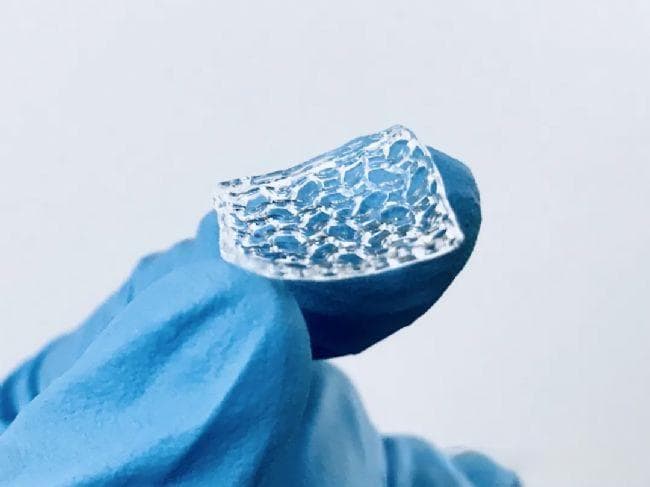 甲基丙烯酸明胶GelMA在组织工程与3D细胞培养中的应用