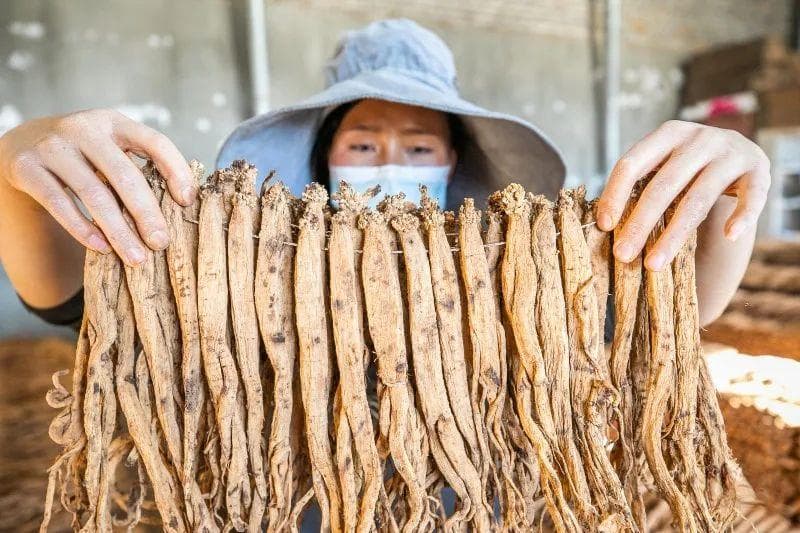 “黔中党参，威宁最佳”