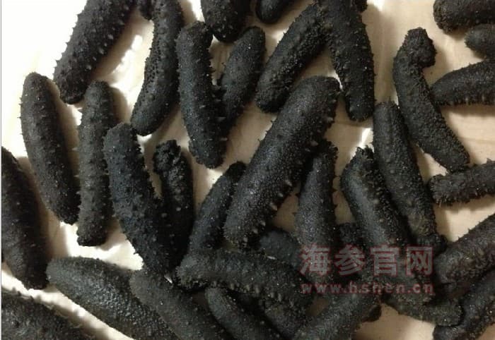 山东海参和大连海参哪个更好？一文读懂海参选购要点