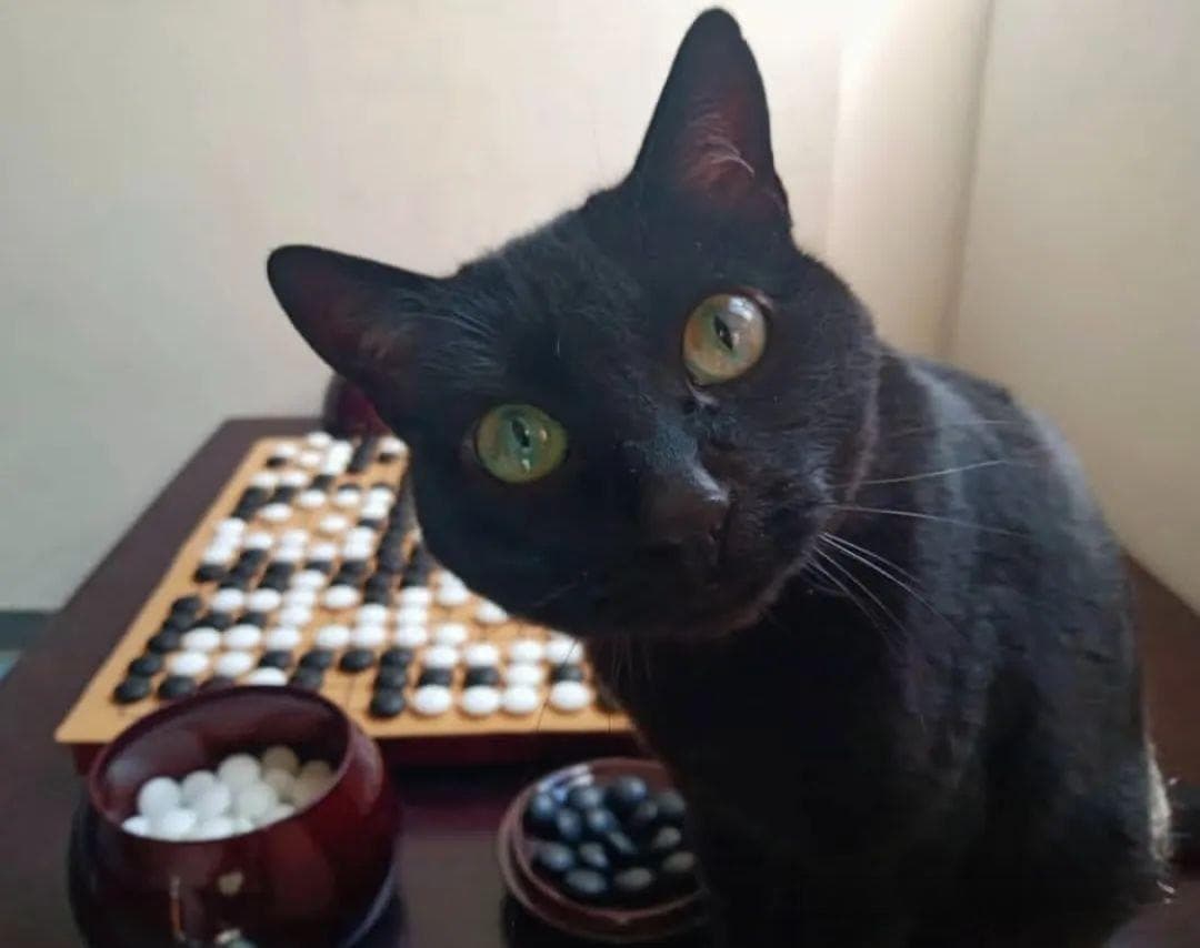 学围棋的3个关键时期，看看你现在处于哪个阶段