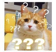 你为啥不吃香菜？
