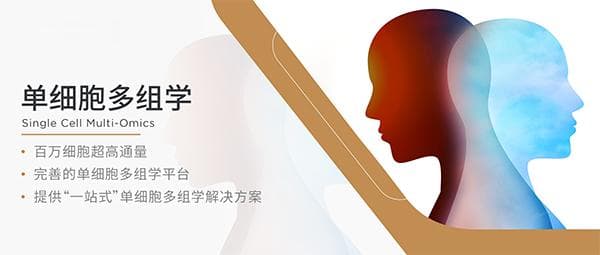 Science最新研究：兴奋性神经元是精神分裂症关键致病因素