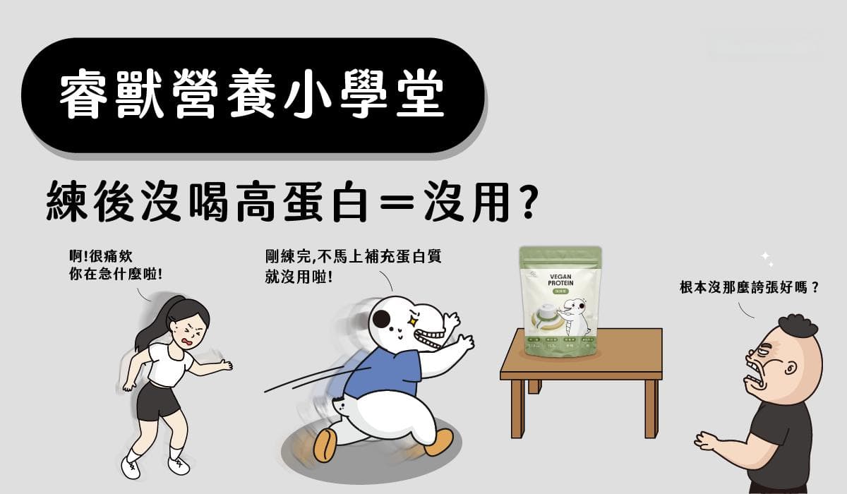 練後沒喝高蛋白等於沒練？