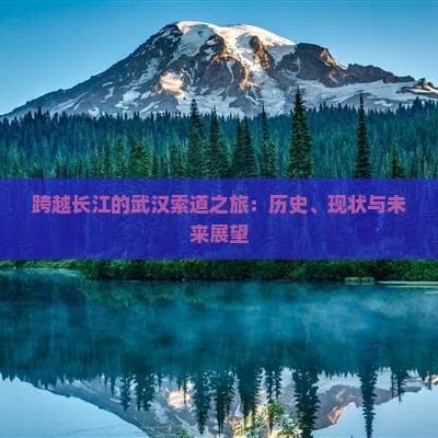 跨越长江的武汉索道之旅：历史、现状与未来展望