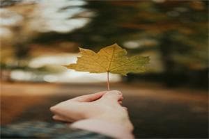储存鱼的四种方法