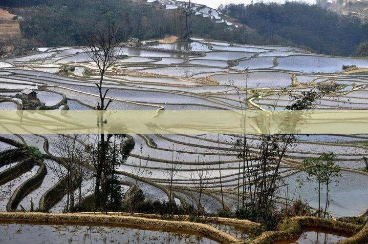 陕西汉中深度旅游全攻略：必去景点、美食推荐与旅行小贴士