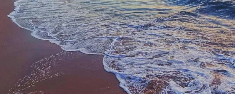 海洋生态灾害的成因有哪些？海洋灾害有哪些类型？