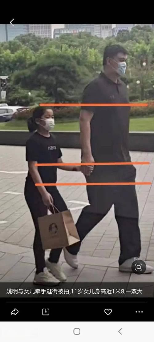 姚明体重飙升至400斤，从NBA巨星到篮协主席的转变之路
