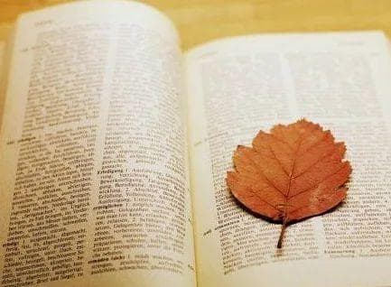 MDPI是什么级别期刊