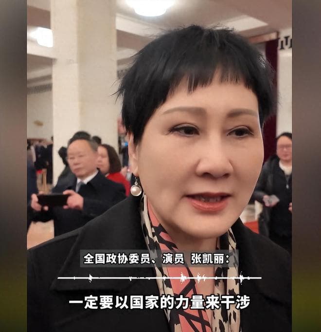 爆火出圈！演员张凯丽在两会上生气，称要打破，以国家力量来干涉
