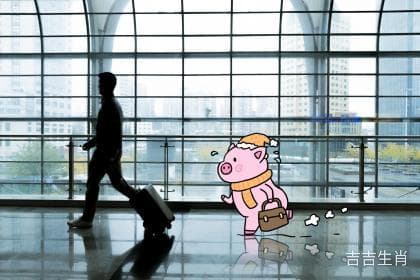钗钏金猪命到底好不好？有什么影响？