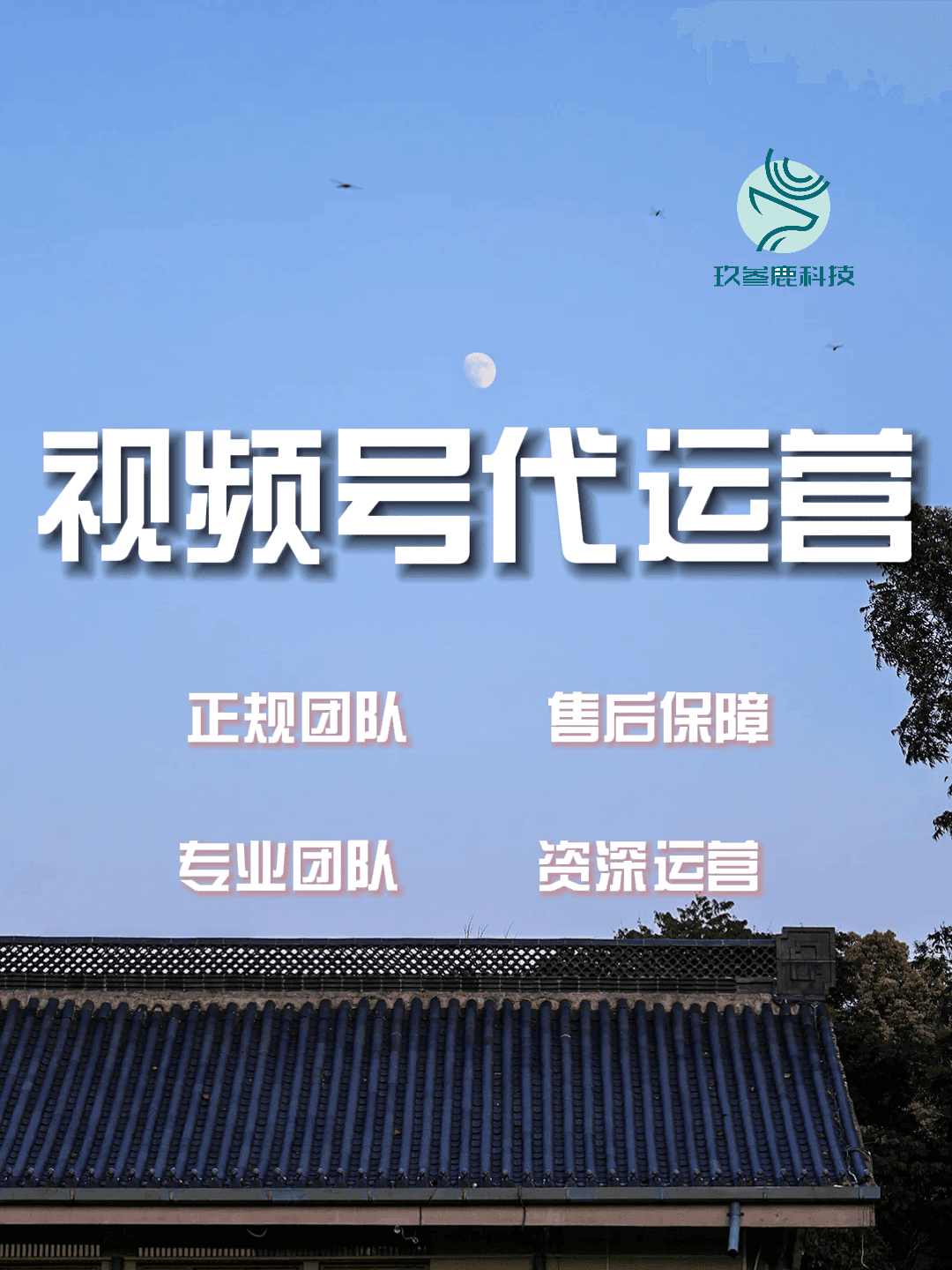 上海短视频运营：内容策略与用户洞察