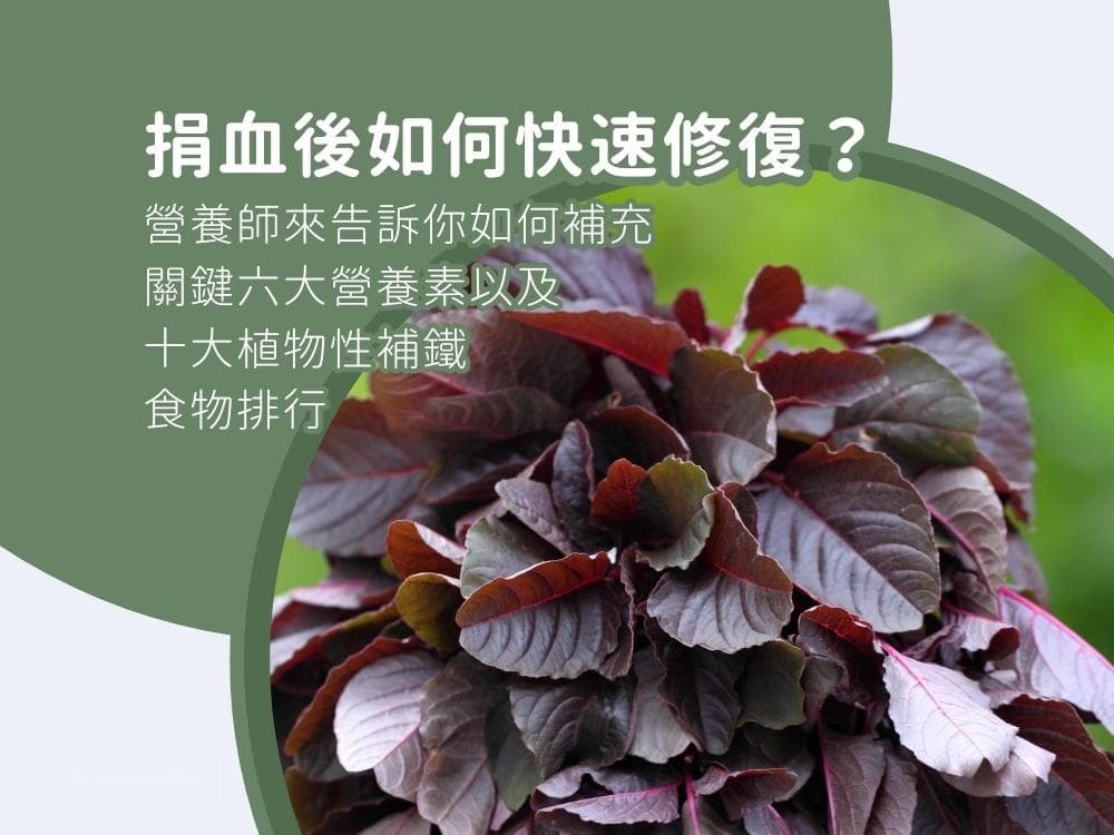 捐血后如何快速恢复？营养师推荐六大关键营养素和十大植物性补铁食物