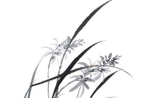 属猪与属兔的命理关系分析及谁更旺：相互影响与旺气比较