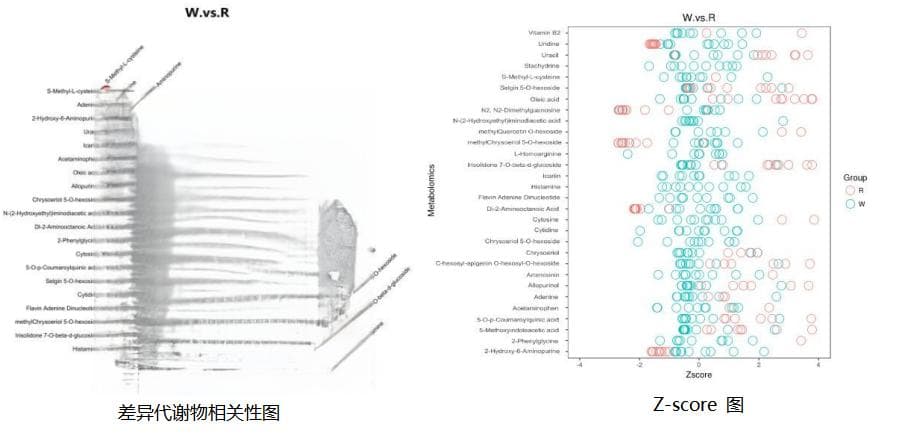 【科研前沿】人体微生物组全解析：结合宏蛋白组学与代谢组学的研究框架