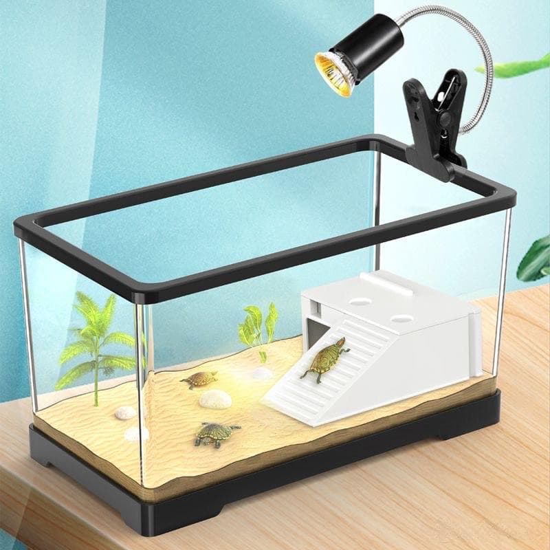 如何挑选一款合用的乌龟缸？主要看这3点，很实用！