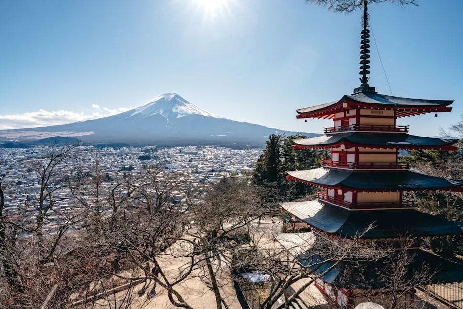 大S病逝、流感爆发，但日本旅游依然很稳