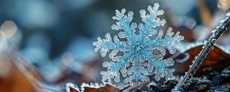 小雪：冬日初雪与农事准备的关键期