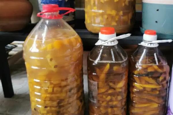 农用酵素的制作方法及其在农业生产中的应用