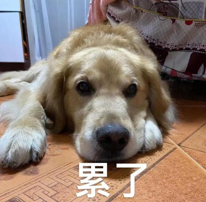 深圳赴香港恢复“一签多行”！深户非深户均可申请