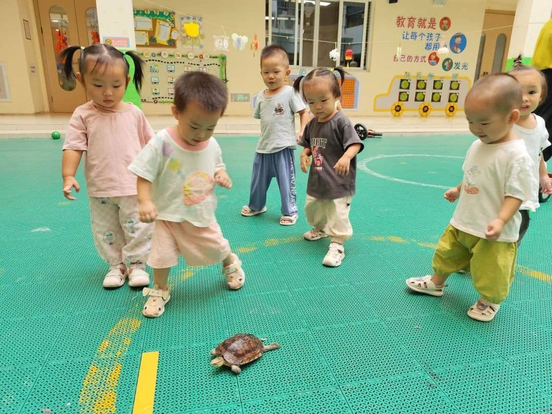 南宁市托育中心开展萌娃秋日探索活动