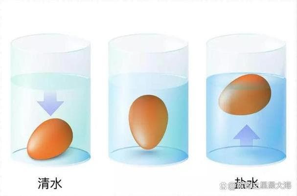 鸡蛋浮起来的秘密：科学原理与影响因素全解析
