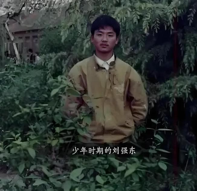 当代西楚霸王刘强东，一路披荆斩棘走向成功