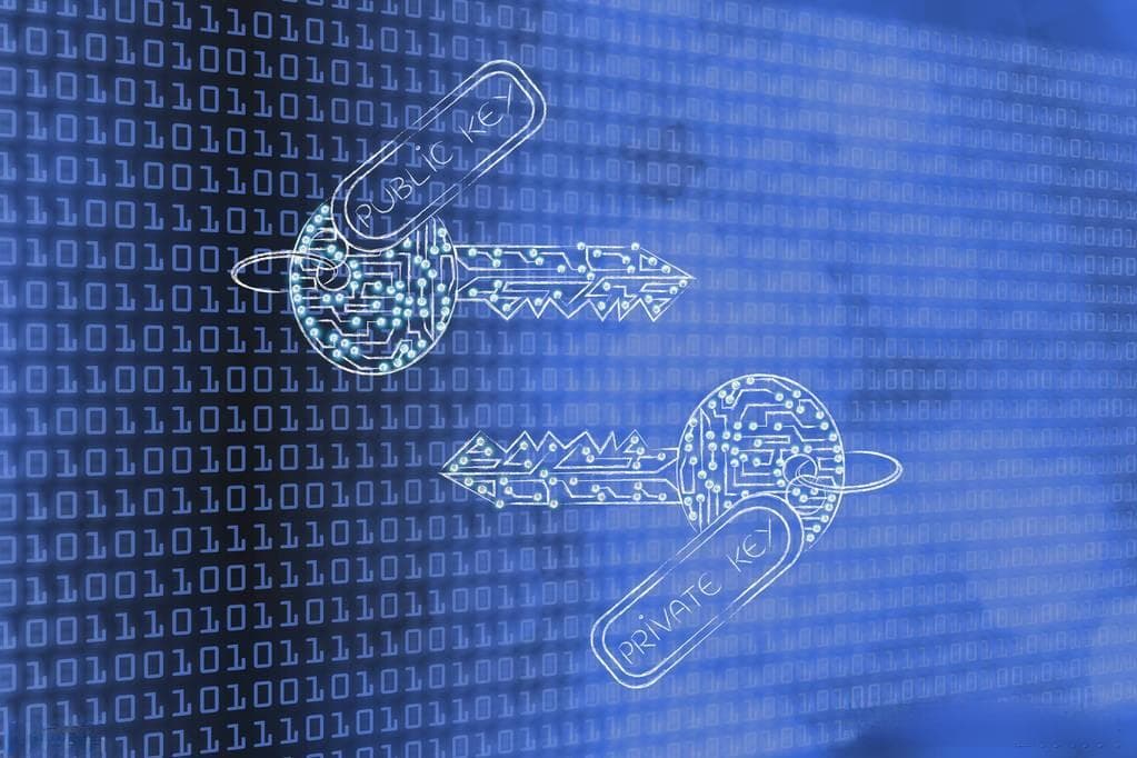 分布式系统开发实战：安全性的加密算法