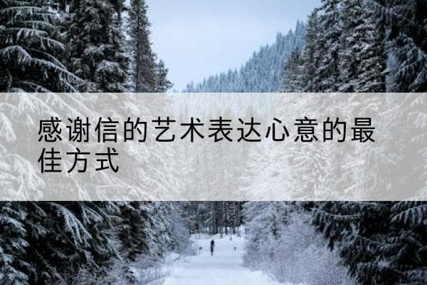 感谢信的艺术：表达心意的最佳方式