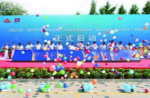 五彩共富 杨柳雪镇探索乡村振兴新路径