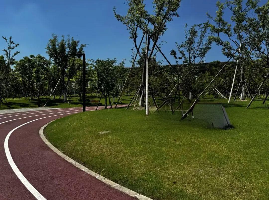 沪上城市公园再增36座，有你家附近的吗？