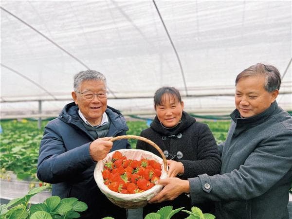 徐州经开区：发展特色农产品 振兴路上的“鲜”动力