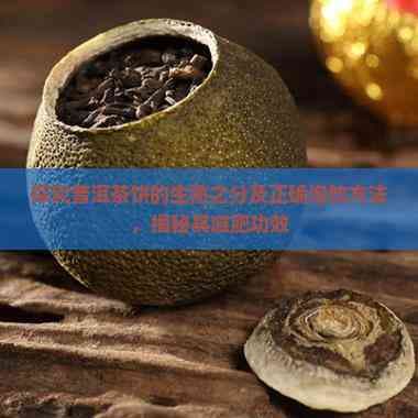 探究普洱茶饼的生熟之分及正确泡饮方法，揭秘其减肥功效